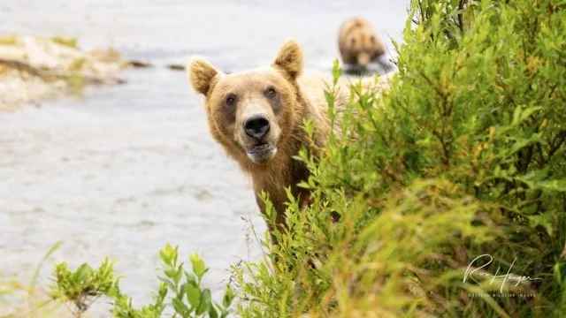 _C5A9519-2-Edit Medium.jpeg