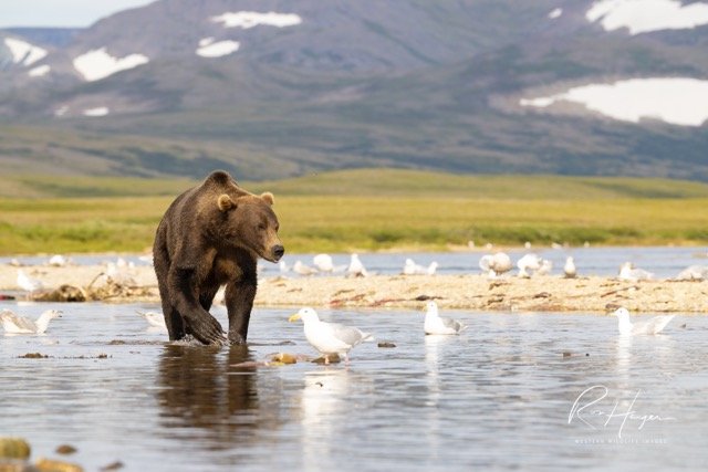 _C5A9611-2-Edit Medium.jpeg