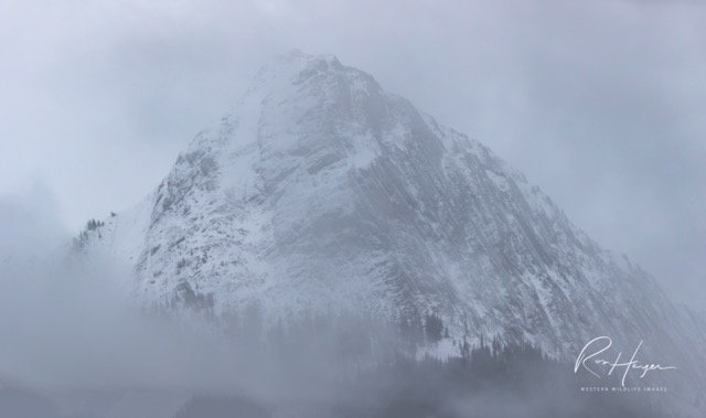 3C5A1105-Pano-2 Medium.jpeg