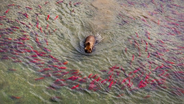 _NT_7416p Medium.jpeg