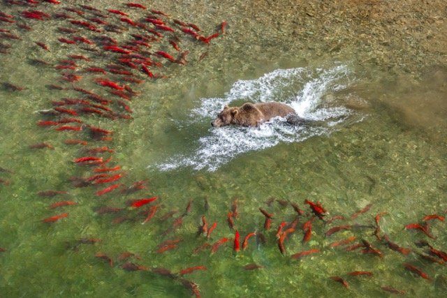 _NT_7329p Medium.jpeg