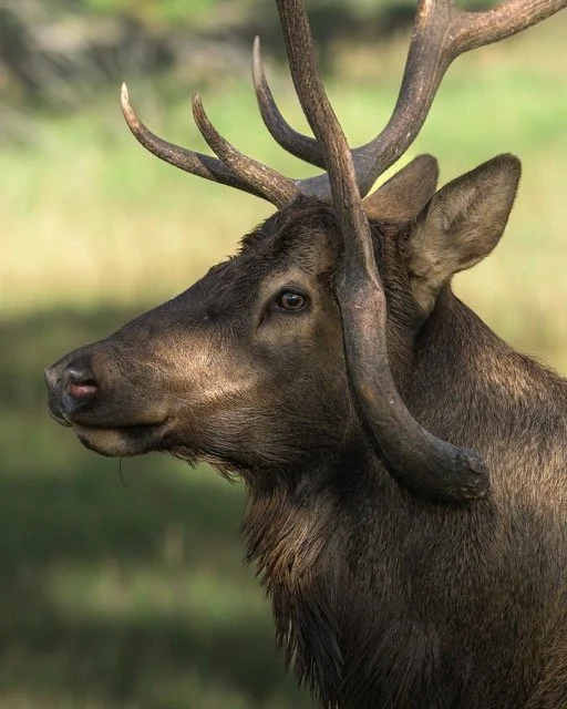 560508472_18178232116354141_3250342383602594596_n Medium.jpeg