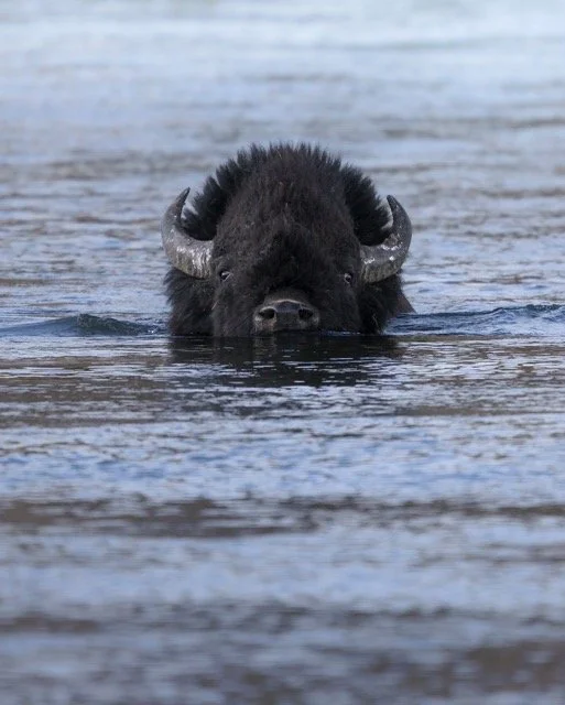 527476056_18171376621354141_4516788576891960108_n Medium.jpeg