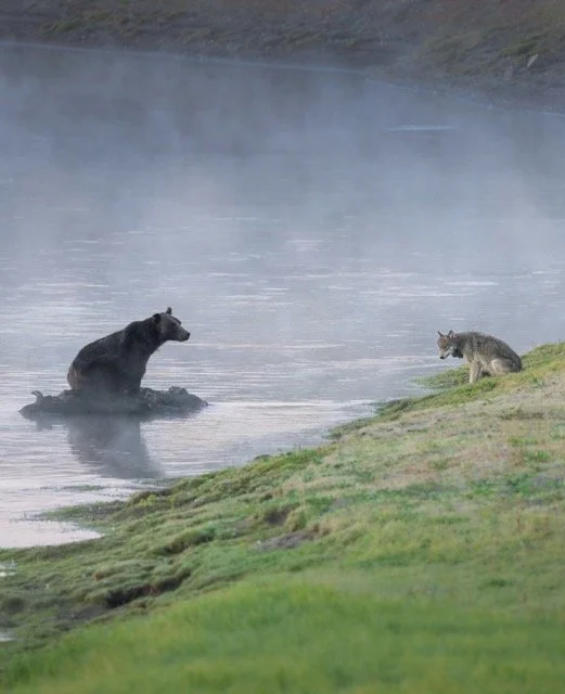 534314517_18172731970354141_993906034525558839_n Medium.jpeg