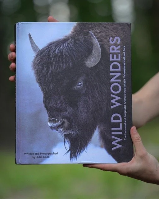 541973526_18174025963354141_8326269147857680014_n Medium.jpeg