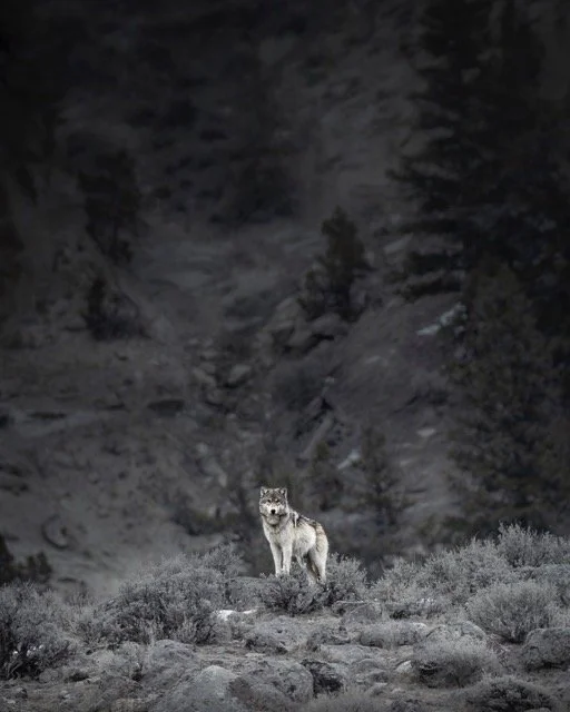 565156607_18179621320354141_6259919302177502407_n Medium.jpeg