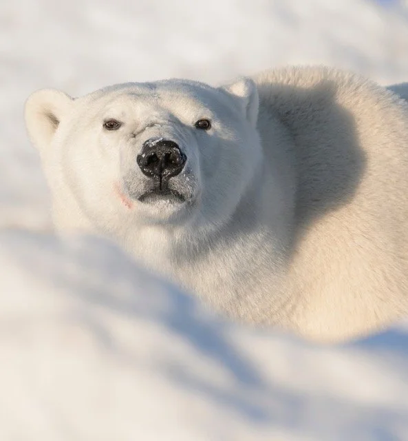 581744325_18183608422354141_668557536093440483_n Medium.jpeg