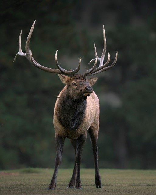 560315609_18178585645354141_4426713591210285486_n Medium.jpeg