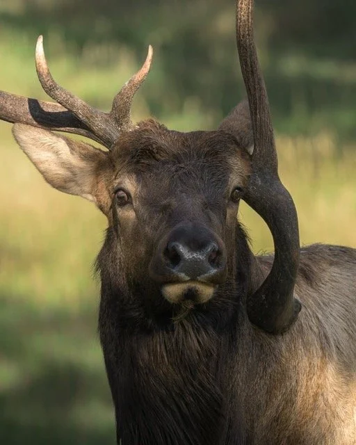 561047770_18178232125354141_394242474289899441_n Medium.jpeg