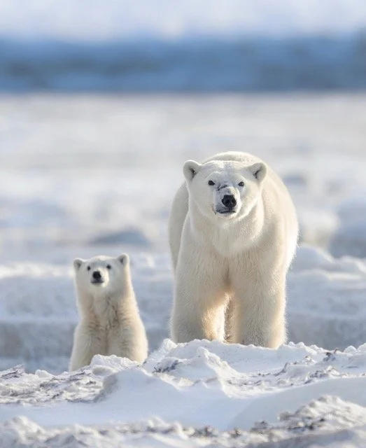 587404181_18184214524354141_6247901739654553849_n Medium.jpeg