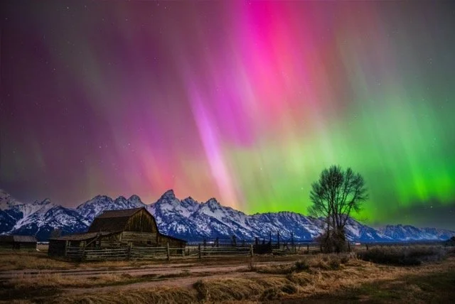 DSC_6498 Medium.jpeg