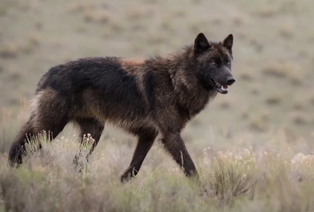 589132623_18542035825018226_203303861562361082_n Medium.jpeg