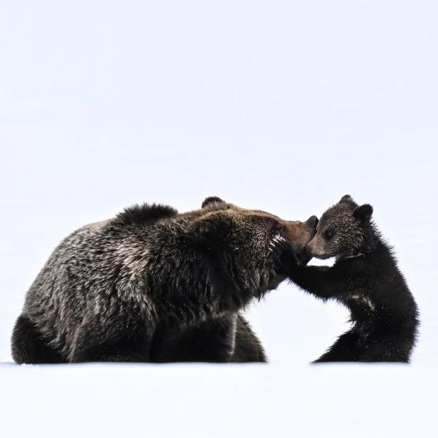 466970391_18368986189188033_2808694074521705079_n Medium.jpeg