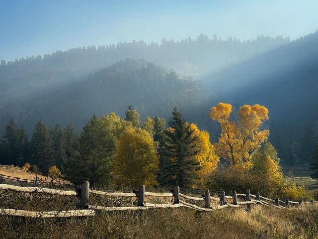 468091251_18370415017188033_999968266181723840_n Medium.jpeg