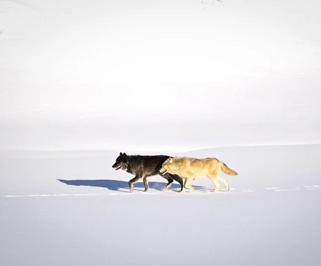 475947756_18379614478188033_4600344126315538170_n Medium.jpeg