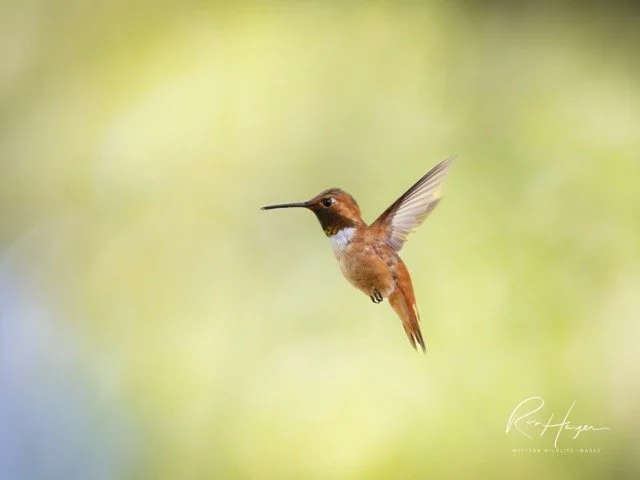 _C5A9956-2-Edit.jpg-2026-1-18 17.48.2 Medium.jpeg