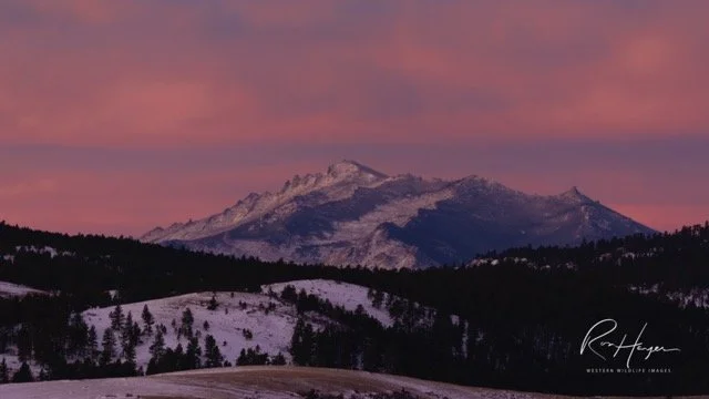 3C5A8270-2.jpg-2026-1-18 17.48.2 Medium.jpeg