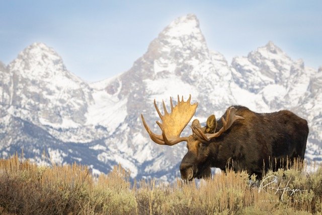 _AK_1142-Edit.jpg-2026-1-18 17.48.2 Medium.jpeg