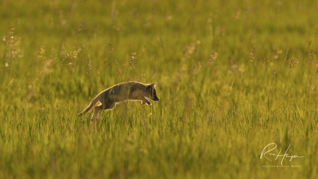 _C5A1001-2-Edit.jpg-2026-1-18 17.48.2 Medium.jpeg