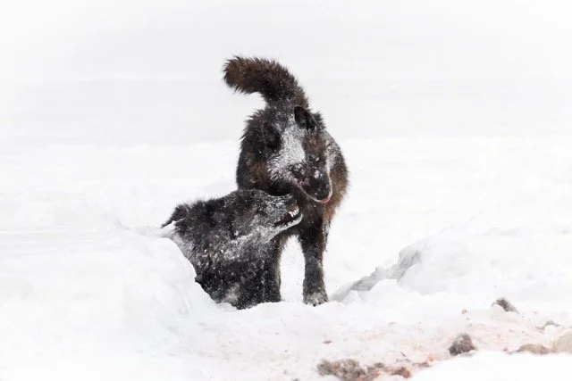 _NT_0822p.jpg-2025-3-10 23.49.29 Medium.jpeg