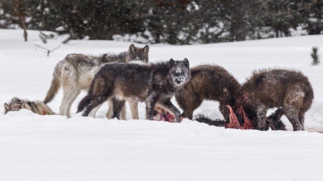 _NT_3590p.jpg-2025-3-10 23.49.29 Medium.jpeg