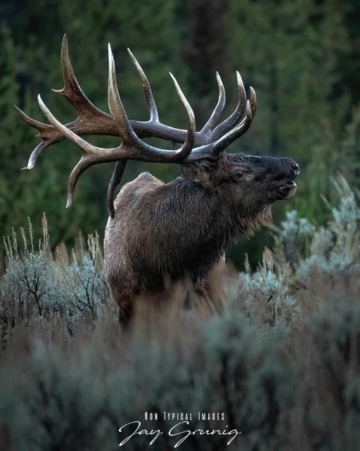 575222550_18325725097245962_629288990310912502_n Medium.jpeg