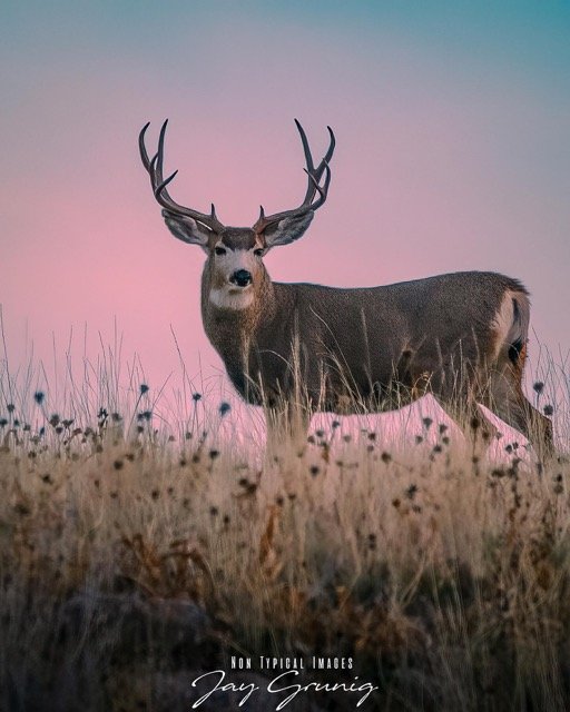 576069375_18326183935245962_8610619448138877846_n Medium.jpeg