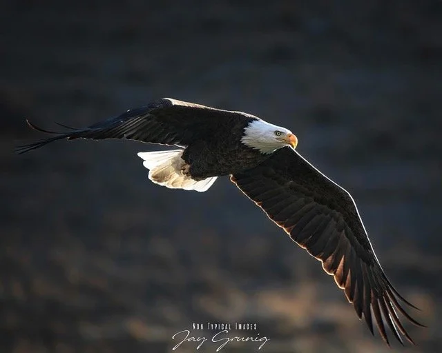 608373762_18331274716245962_50045888368031128_n Medium.jpeg