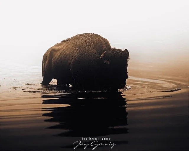 372592418_271088542360970_6405160148173323893_n Medium.jpeg