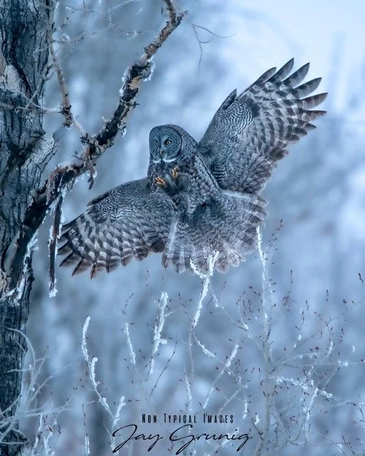 408612801_377922278132265_8819744750772218037_n Medium.jpeg