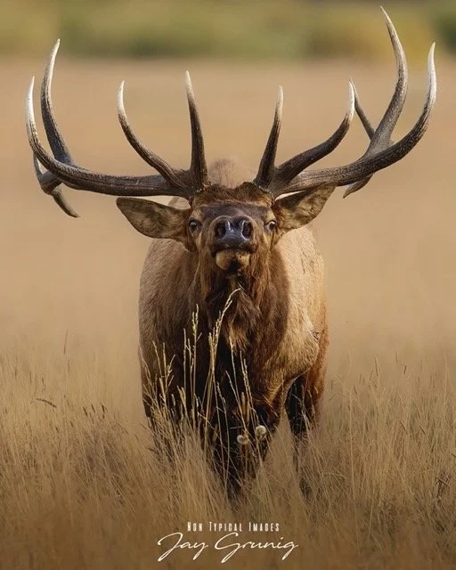 Face your Fear.jpeg-2026-1-26 19.2.5 Medium.jpeg