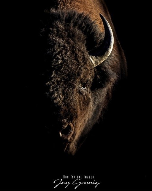 Harvey 2.jpeg-2026-1-26 19.2.5 Medium.jpeg