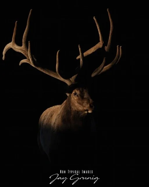 Shadow Giant.jpeg-2026-1-26 19.2.5 Medium.jpeg