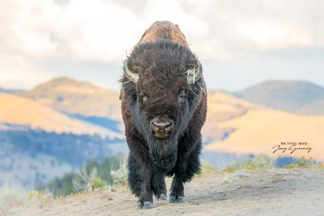 Top of the World.jpeg-2026-1-26 19.2.5 Medium.jpeg