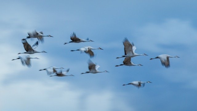 _NT_6048p Medium.jpeg