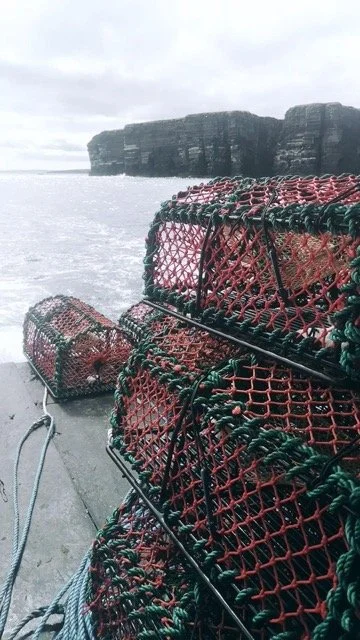 Lobster Fishing.jpg-2026-2-1 17.13.41 Medium.jpeg