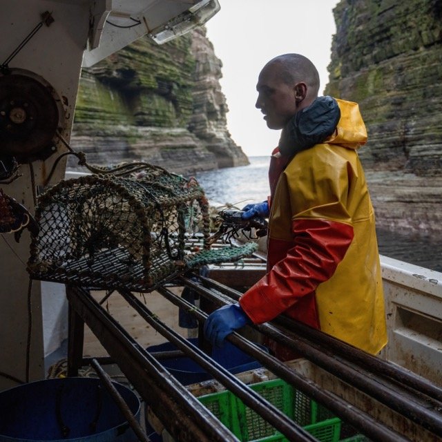 Nick Lobster Fishing.jpg-2026-2-1 17.13.41 Medium.jpeg