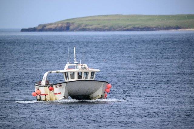 Fishing Boat.jpg-2026-2-1 17.13.41 Medium.jpeg