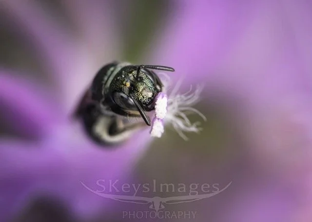 530994262_18398413273143353_4951562560605505111_n Medium.jpeg