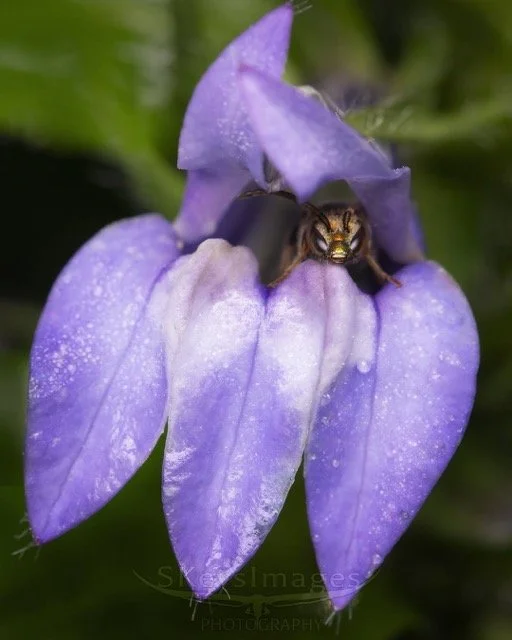 539330245_18400194745143353_3526276333303561485_n Medium.jpeg