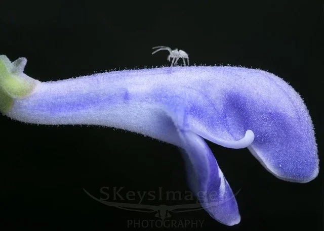 543654956_18401970493143353_2298858693378023331_n Medium.jpeg