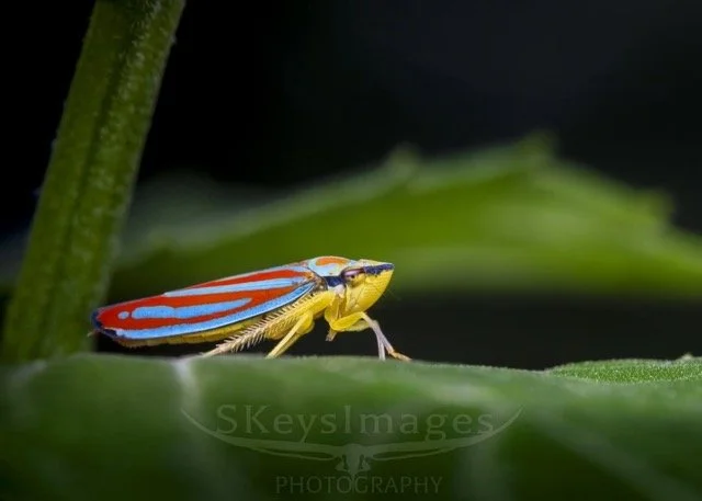 549167088_18403023979143353_1158403132055985114_n Medium.jpeg