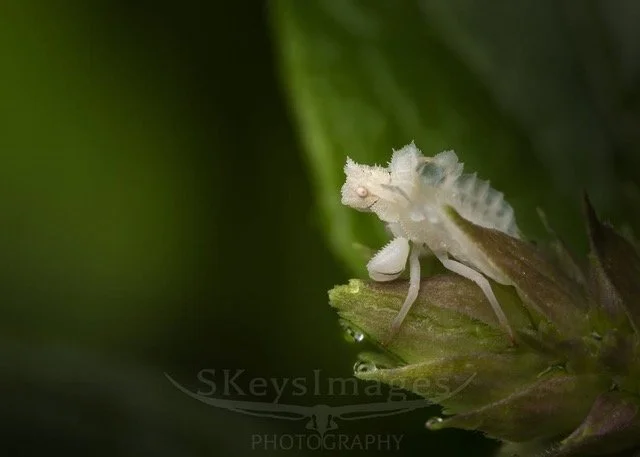 552423902_18403877596143353_3706260737997174579_n Medium.jpeg