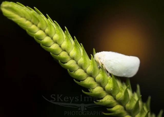 565219040_18407129944143353_5691083572584849859_n Medium.jpeg