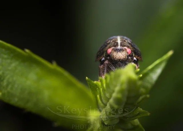 567877494_18407912803143353_6298709058231961916_n Medium.jpeg