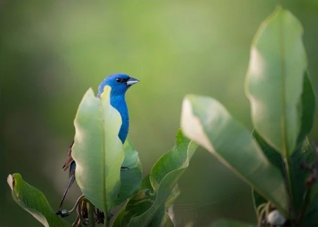 631540482_18426596563143353_7085703372372239634_n Medium.jpeg