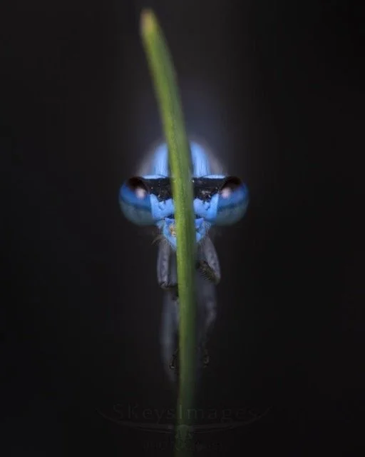 639556302_18427956067143353_8976222864869746448_n Medium.jpeg