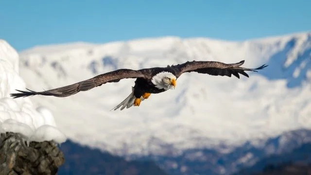 _NT_7706-2p Medium.jpeg