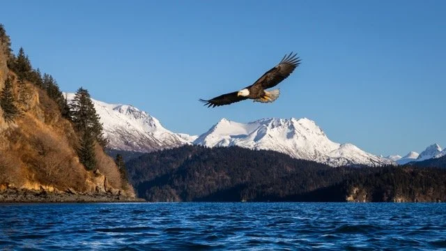 _NT_6966p Medium.jpeg