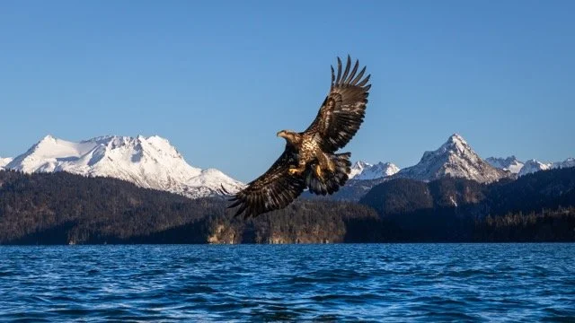 _NT_6694p Medium.jpeg